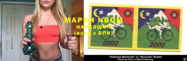 шишки Алзамай