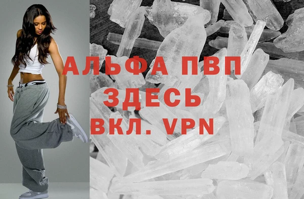 шишки Алзамай