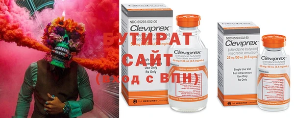 шишки Алзамай
